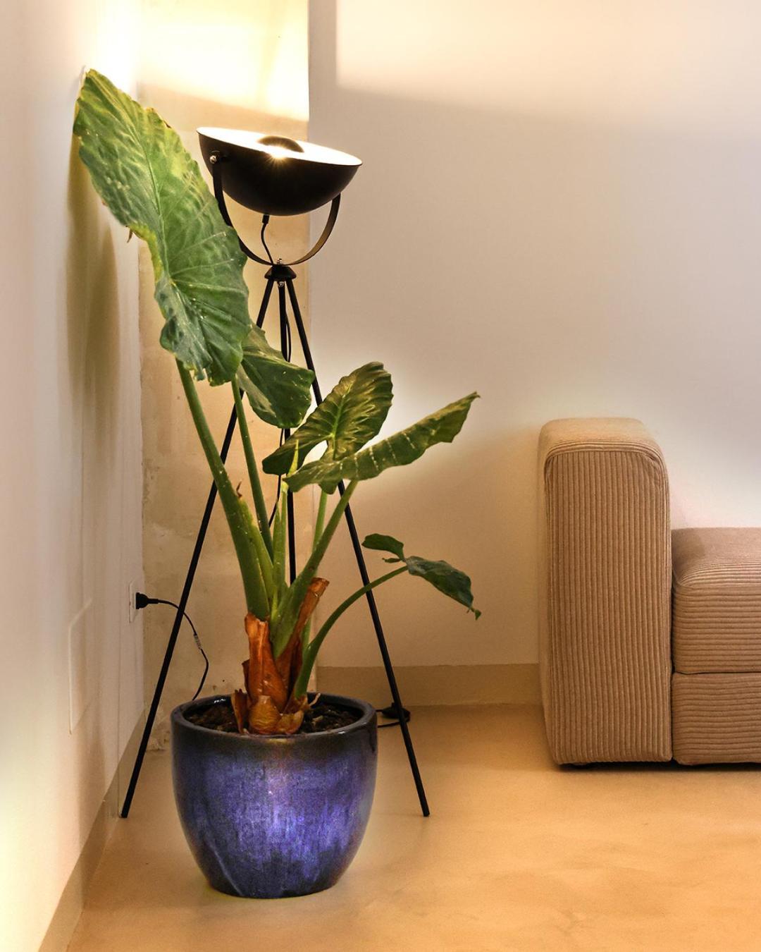 Acqua Apartment *