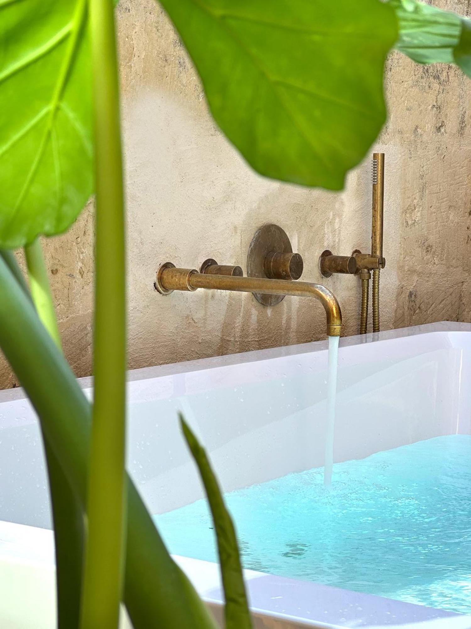 Apartment Acqua